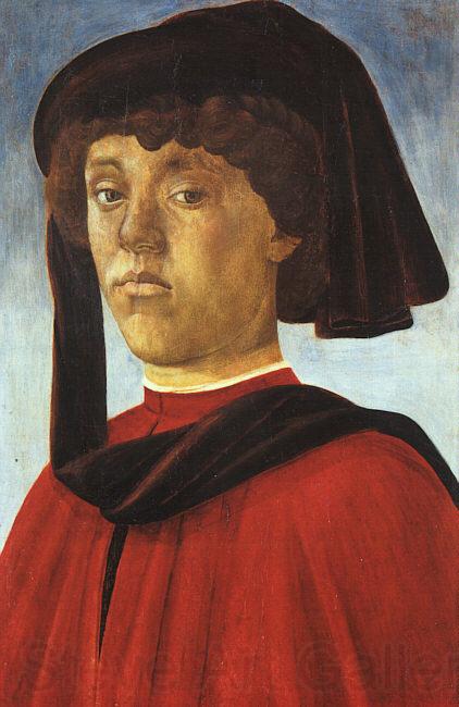 BOTTICELLI, Sandro Portrait of a Young Man fddg Spain oil painting art